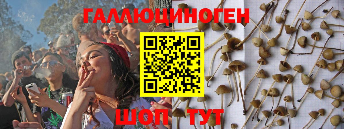 Псилоцибиновые грибы GOLDEN TEACHER  Вход с VPN  Кострома  Галлюциногенные грибы MAGIC MUSHROOMS 